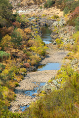 Fototapeta na wymiar river during drought very low water .