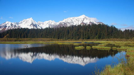 Fototapeta na wymiar Mt Benson and the Kenai Mountains reflected in Salmon Creek - Seward, Alaska
