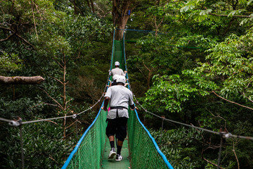 Tourists walking through a hanging bridge in Costa Rica