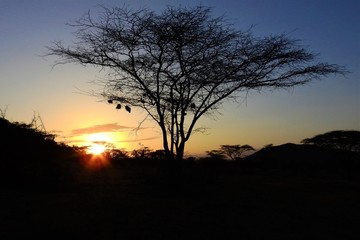 Obraz na płótnie Canvas Sonnenuntergang im Samburu National Park Kenia