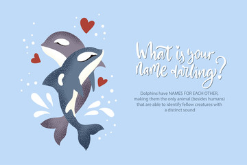 Happy valentine day vector textured dolphin animal card in a flat style with quote and real facts about love. Romantic killer whale couple illustration.