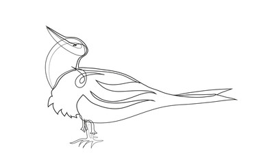 One continuous line drawing of standing bird. Simple line art drawing of standing bird.