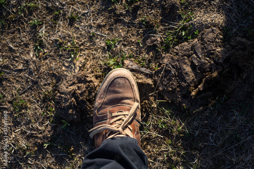 Wall mural keeping feet comfortable on long walks. leather shoe or footwear outdoor. male shoe or boot standing