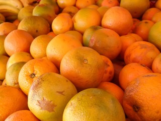 Oranges for sale at outdoor market