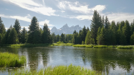 afternoon shot of a pond at schwabachers landing in grand teton national park