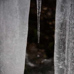 Obraz na płótnie Canvas drops falling from ice cubes