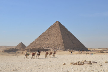 Tourists riding camel exploring the Giza Plateau with the Pyramids around.