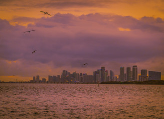 city buildings urban landscape architecture dusk sky sea sunset panorama miami skyscraper downtown new views © Alberto GV PHOTOGRAP