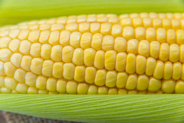 Brightly colored green corn on a wooden table