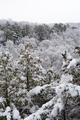 Winter in the Midwest