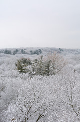 Winter in the Midwest