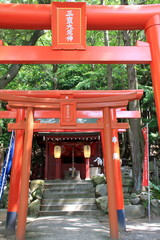 Fototapeta na wymiar 宮地嶽神社の奥の院