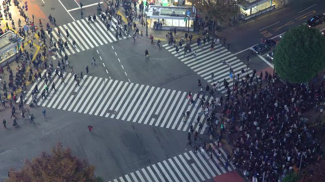 Asia, Japan, Tokyo, Shibuya, Shibuya Crossing - crowds of people crossing the famous crosswalks at the centre of Shibuyas fashionable shopping and entertainment district - elevated view