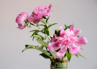 Naklejka na ściany i meble Closeup of peonies in vase bloomed 
