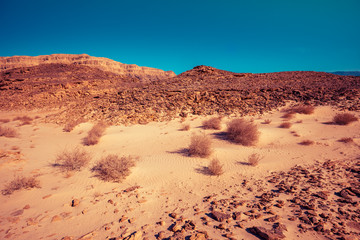 Fototapeta na wymiar Desert nature landscape. Sandstone rocks in Timna park, Israel