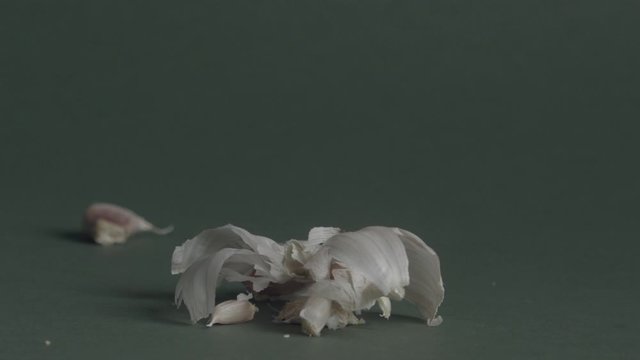 The head of garlic on the green background