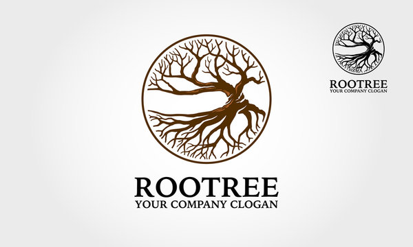 Root Tree Logo Template Features. The logo a tree depicts as growth symbol, strength, ecology. This logo is modern, clean and simple.