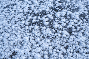 Snow texture. Natural winter background