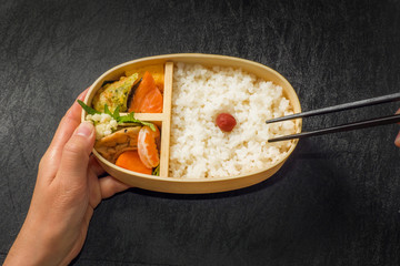 おべんとう　Japanese style famous lunch box (bento)