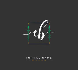Handwritten initial letter E B EB for identity and logo. Vector logo template with handwriting and signature style.