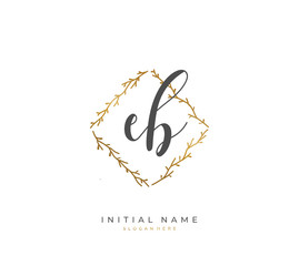 Handwritten initial letter E B EB for identity and logo. Vector logo template with handwriting and signature style.