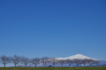 冬晴の日にドライブに行こう！