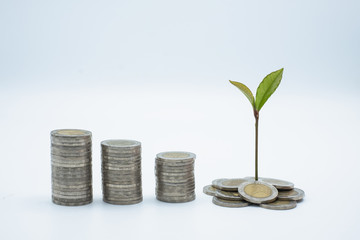 The coins are arranged in order from low to high. And trees that grow on coins, white background Growing top plants for natural green businesses Financial and investment concepts Business growth.