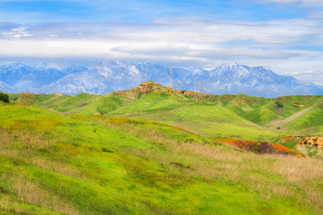 View of the San Gabriel Mountains from Chino Hills State Park during the super bloom