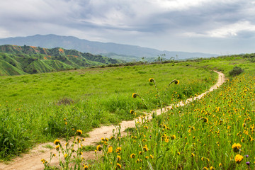 Hiking path in Chino Hills State Park during spring