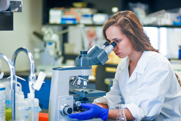 scientist working in biomedical laboratory