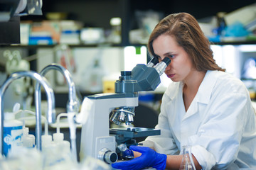 Female scientist working in laboratory