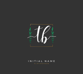 Handwritten initial letter T B TB for identity and logo. Vector logo template with handwriting and signature style.