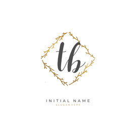 Handwritten initial letter T B TB for identity and logo. Vector logo template with handwriting and signature style.