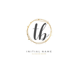 Handwritten initial letter T B TB for identity and logo. Vector logo template with handwriting and signature style.
