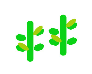 cactus in the shape of heart