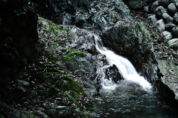 源流の滝と岩と苔