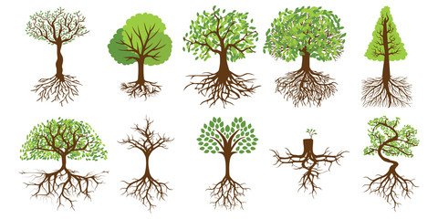 Tree vector set collection graphic clipart design
