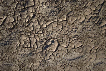 Fototapeten deep cracks in the ground with drought and lack of water © Андрей Букреев