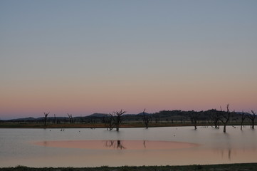 Fototapeta na wymiar Sunset with trees on lake