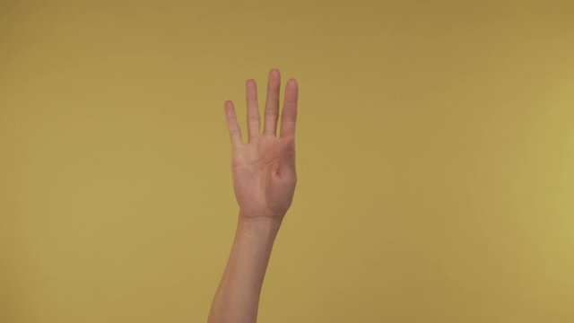 Closeup of isolated on yellow adult female hand counting from 0 to 5. Woman shows fist, then one, two, three, four, five fingers Math concept. 4K