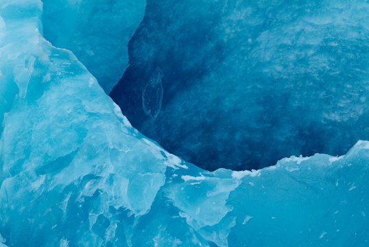Iceberg Closeup Tracy Arm