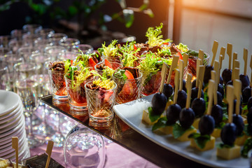 Cold appetizers at banquet, restaurant service, catering. Variety of delicious starters on wooden skewers and salads in small tartlets.