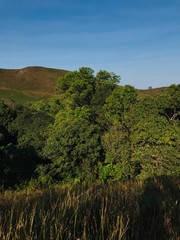 Cloud Under the mountain