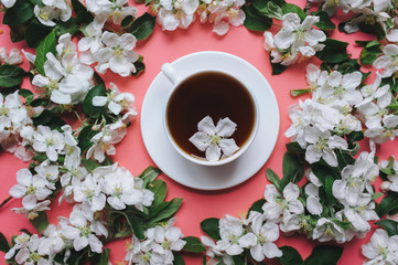 A cup of tea with saucer stands on a pink background surrounded by white flowers of an apple tree. The concept of spring tea and medicinal decoctions. Close up, top view.