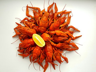 A large portion of boiled crayfish on a plate.