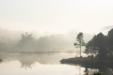 Fototapeta na wymiar Morning sun shines through the fog and Trees over water.