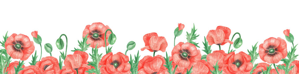 Poppies banner - obrazy, fototapety, plakaty