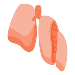 Section lungs icon. Isometric of section lungs vector icon for web design isolated on white background