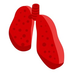 Cutted section lungs icon. Isometric of cutted section lungs vector icon for web design isolated on white background