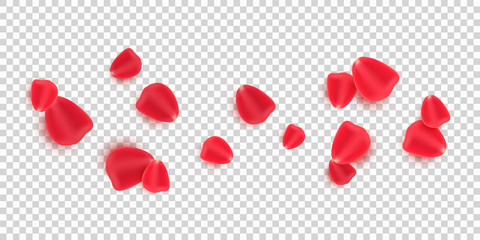 Scattered red rose petals isolated on transparent background. Valentine's Day. Romantic flowers for Valentine's Day or wedding. Vector illustration